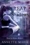 [Steel & Stone 04] • Reap the Shadows (Steel & Stone Book 4)